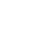 55c icon
