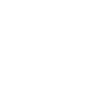 55c icon