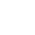 55c icon