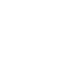 55c icon