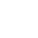55c icon