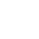 55c icon
