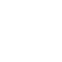 55c icon