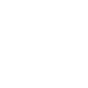 55c icon