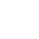 55c icon